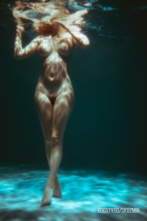 carrot 134dda9a12255a95475