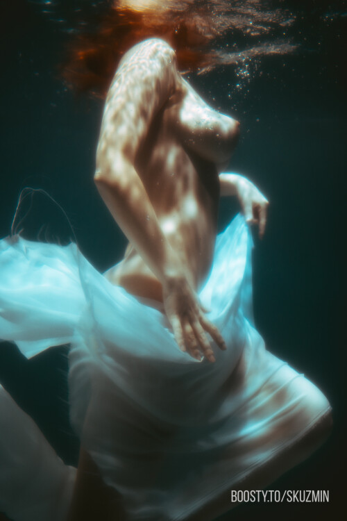 carrot 1374fc1988062133a44