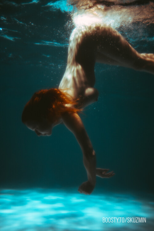 carrot 138a2b82eccc7710895