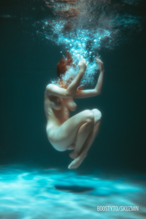 carrot 1417926b726a5e894fe