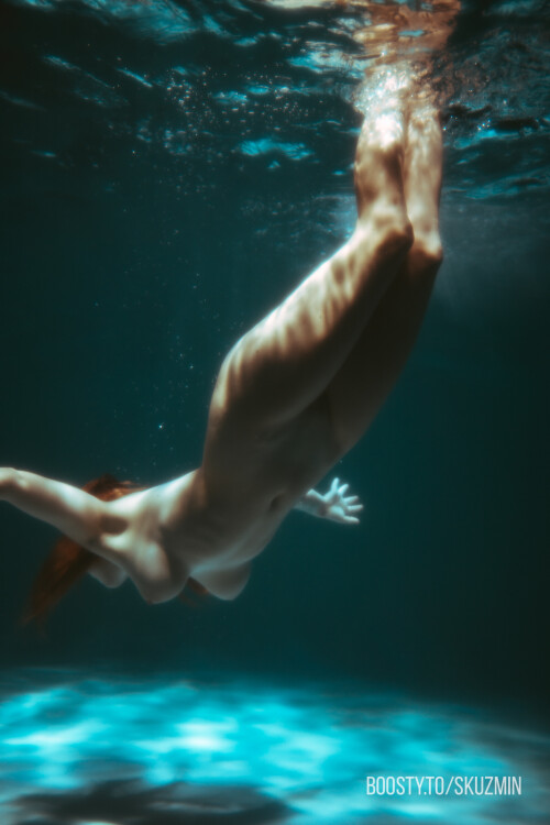 carrot 1502aa3fdd4c8686df3