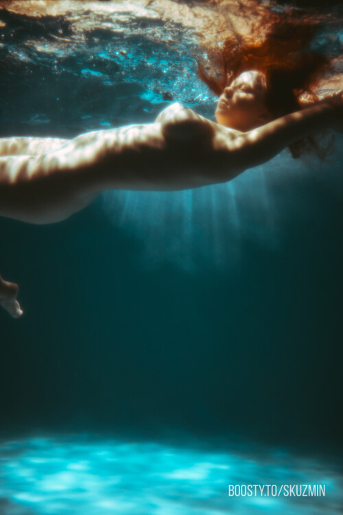 carrot 151dd103e794481e6c6