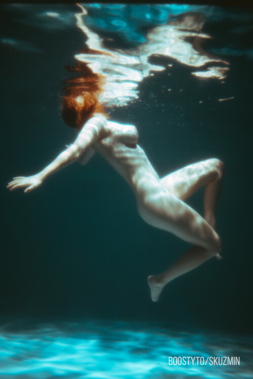 carrot 153433a1baa6dc2bf1c