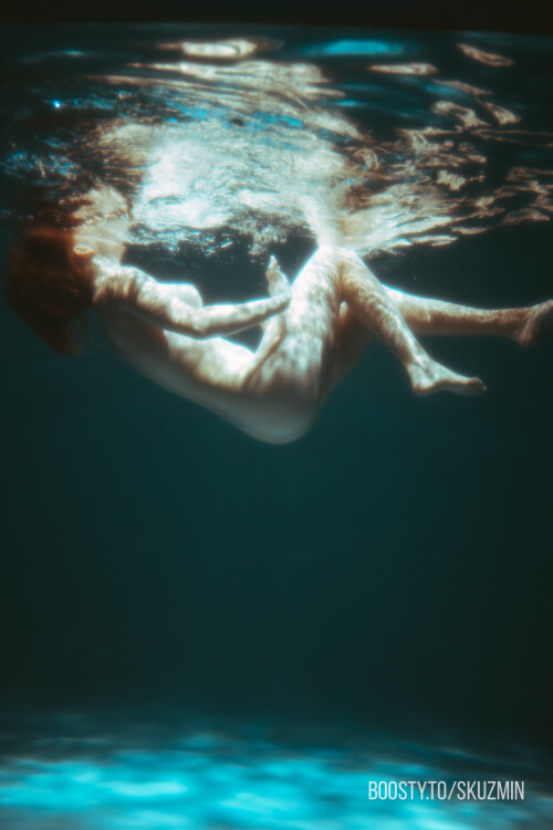 carrot 155a1aa8f40b02744d4