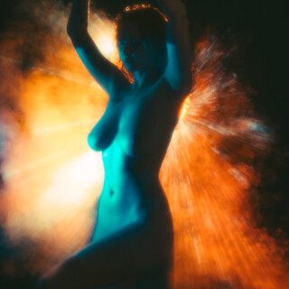 carrot-1781ac01b34c0b492e9