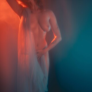 carrot-3059797073e2e156b1c87568c06f0737db