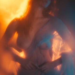 carrot-33fba3d4576bf7605ffa6ffac774791451