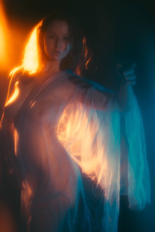 carrot 37e2edbd120f8006ef