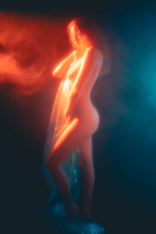 carrot 40c56c8b55ae7342e5