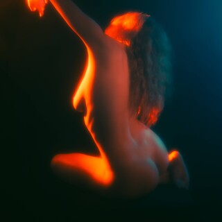 carrot-4979b1ae9cb634215407e830abb4a76d7f