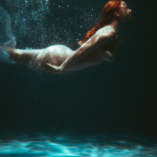 carrot-73cfd818d7061b7910adf5a1612e284d96