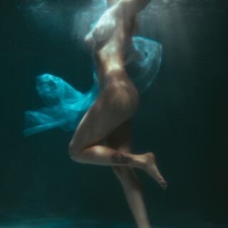 carrot-74cdc8bb543ad12c8b37cd51ba8b088835