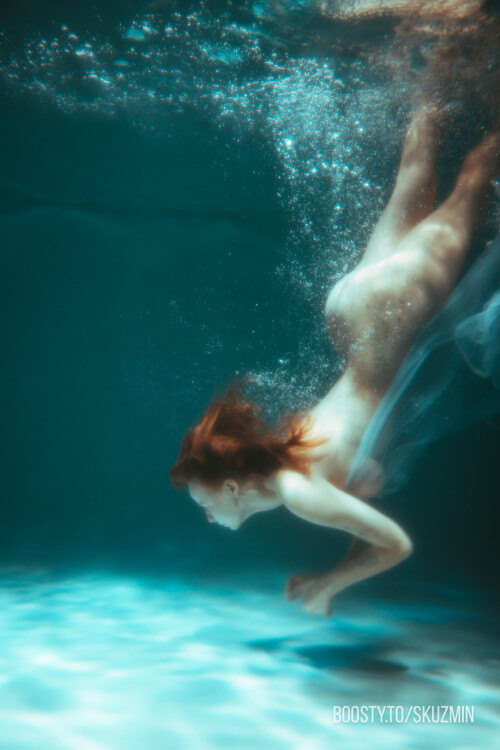 carrot 753a1f49d19a5b844b