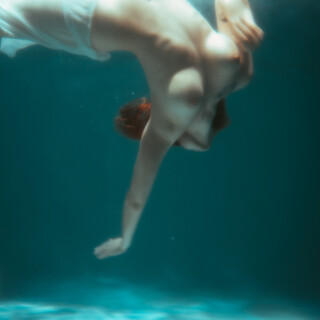 carrot-774e096287fdb7275a355a87ac17eb2801