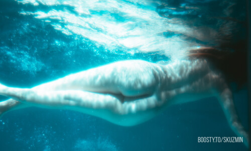 carrot 78dbaa72ac8b5c648f