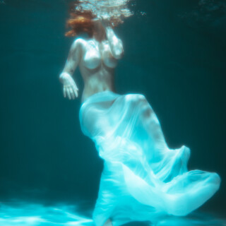 carrot-82e9b95139c0d7bacad739cb41ff5a6668