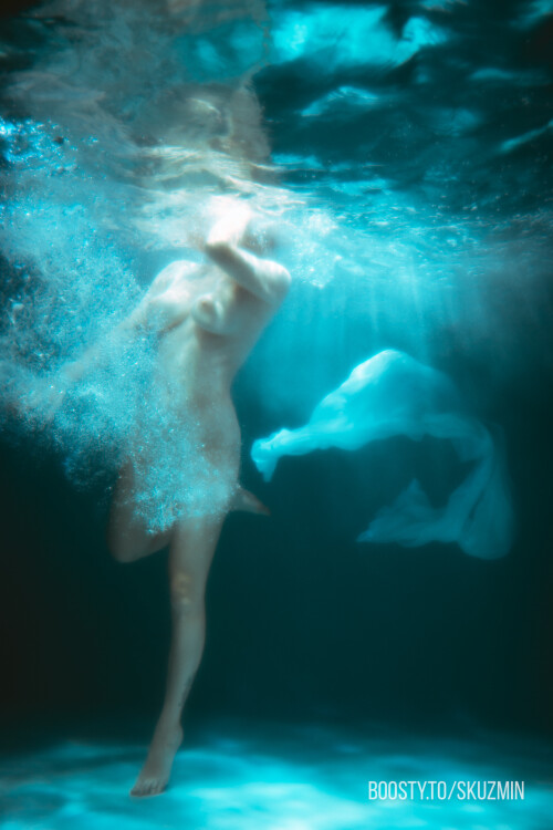 carrot 83d58e0ca46b7e7e3b