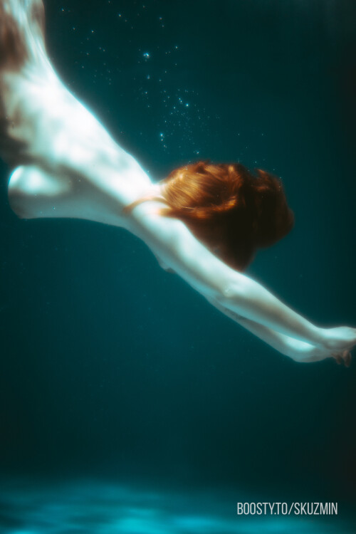 carrot 94c82f4acb42483217