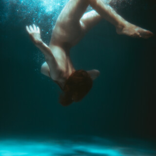 carrot-98b1c1d6bb89dfaf670f49e018c5fc64d1