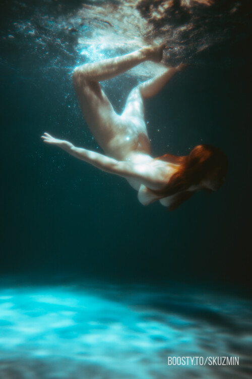 carrot 99476986c06b627802