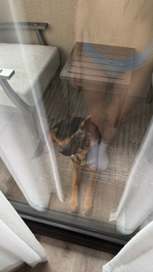 caryn10cf8acd31ad7067bc