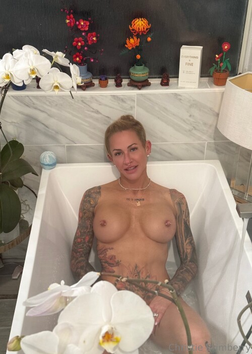 cbwt230a07b4e9808b527