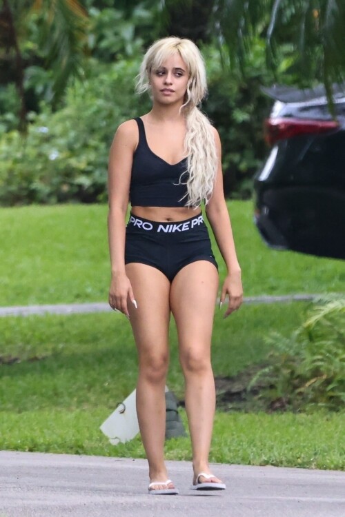 cc-117dee2b07fec61a0f