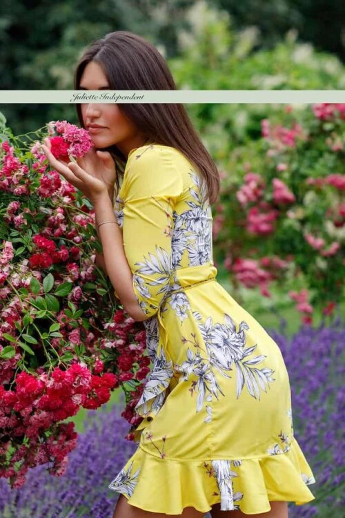 cdd58b f686272180d74dd4a42a63a47f495cd2mv2726f71a178d5f0c2