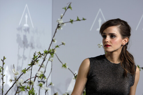 celebboard Oscars2014 096