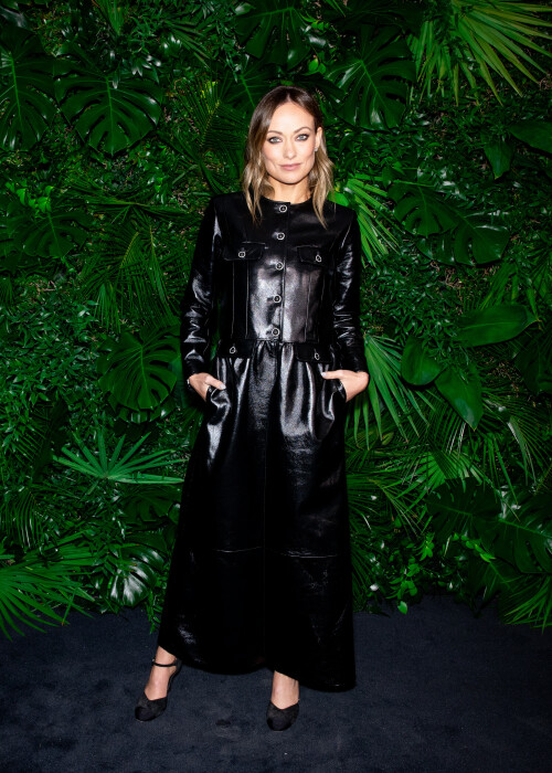 chanelboesfe 1125c449e4434b9c79