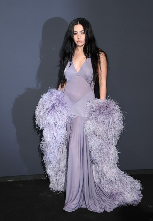 charli 2799125c3a96dbe0ec