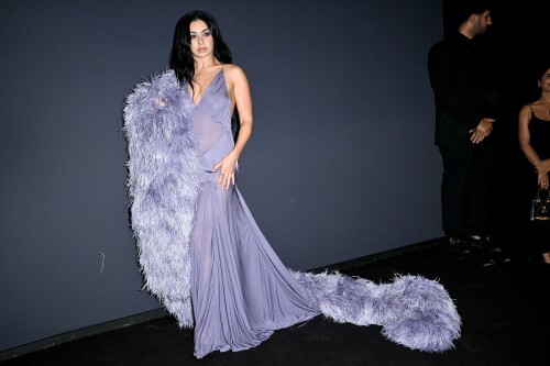 charli 58fc4b1a8fcc867fd6