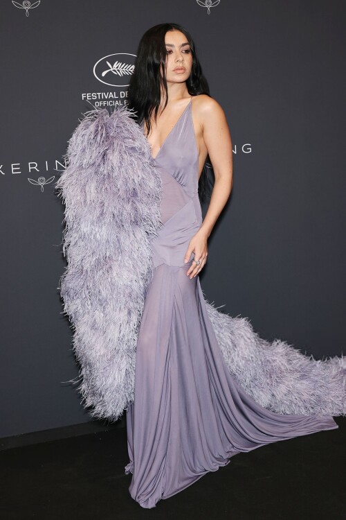 charli 878fc003eddb47fe9