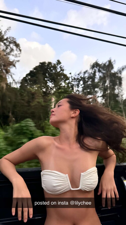 cheebirdl 2024 12 30T17 15 31a40ad3394d8807b1