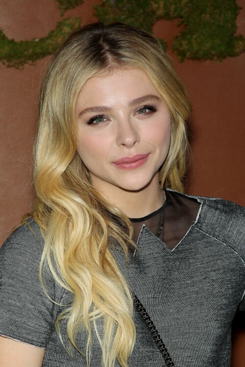 chloe moretz at 2015 coach and friends of the high line summer party in new york 1