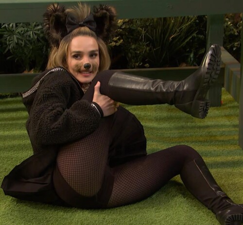 chloe dog83a135bf998df2f9