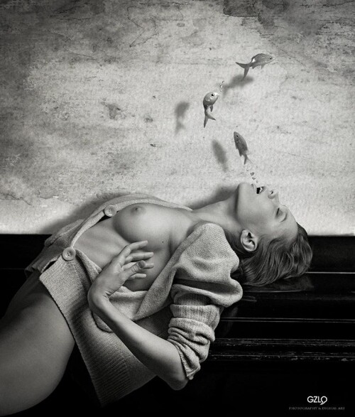 chucha fishes 900548c577f5a0685a8