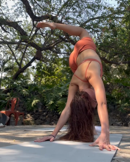 ck_yf_4b14eabc3cb9e21b8