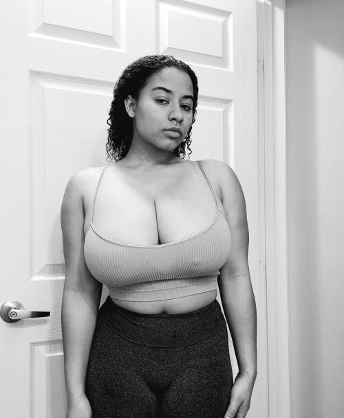 cocokauai01 29 02 2024 0002b3e1ba9a1f4f2ccf