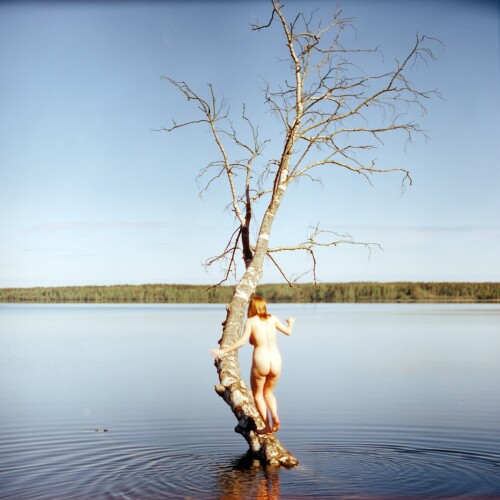 d0696a62 9f14 4cbb 8c2c 54bb6b243eb2ca835b80e7e6729c