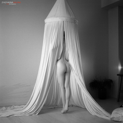 d4d8c215 96c8 4523 9293 dbd3f9a33d34f156d65325165816