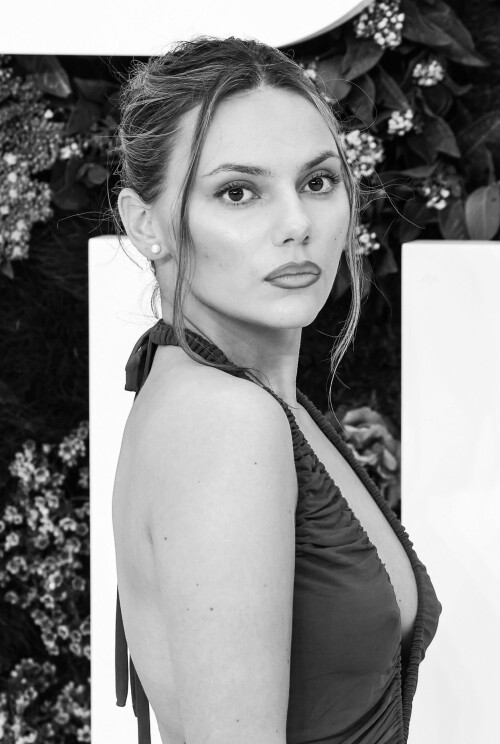 dafne 169700d8c5237e56a8