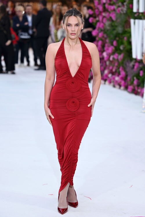 dafne 6a57bfdaf00b0a5b0