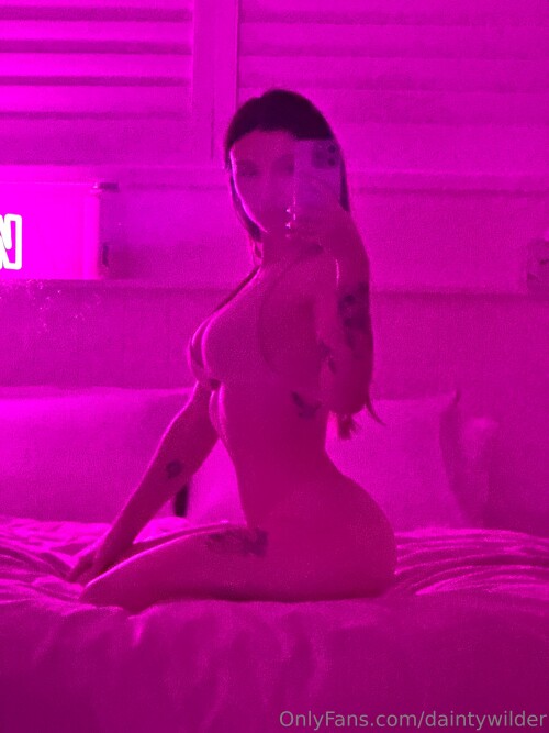 daintywilder 2025 08 07 3971766241609b7f0a7729f16c