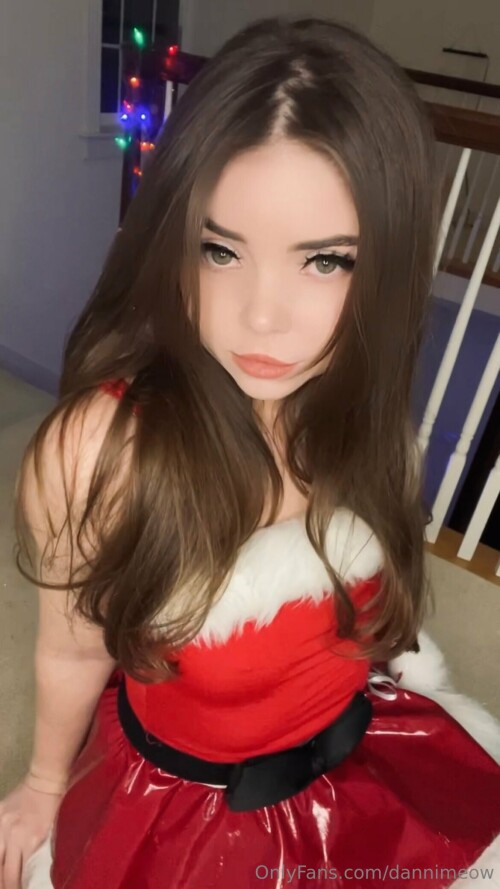 dannimeow 2023 12 22 3134645409275f327d31307deb