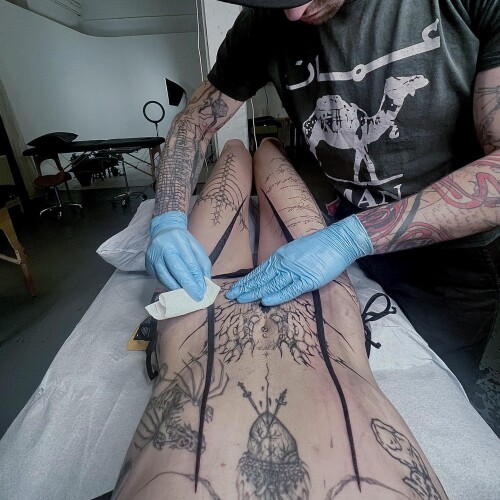 deathbyromy bad17cc3540945f09cdeead4d72a3d4dec29ab341be7d829