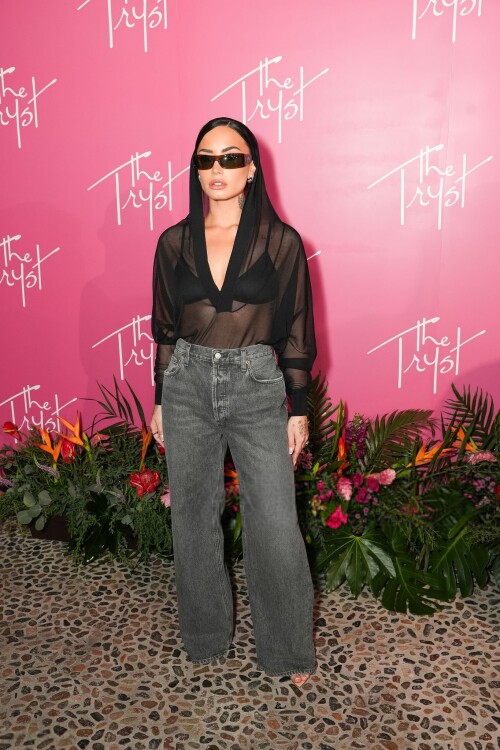 demi 246d7ad70e88ede70