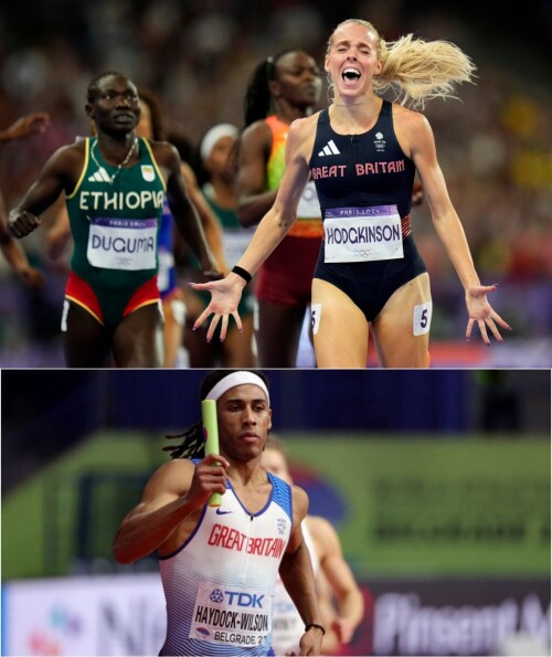 descarga91a2b5d7acf678e2