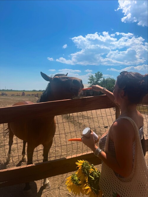 devon.shae 3720128261331702025 2025 09 12e04b56da868460c6