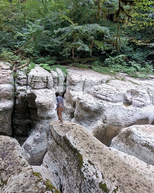 dieJumpforRapedeadASSca1a2cdfb4183d05